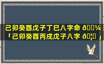 己卯癸酉戊子丁巳八字命 🐼 理「己卯癸酉丙戌戊子八字 🦁 」